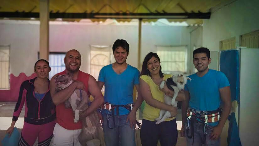 perrinos 2016 – 1