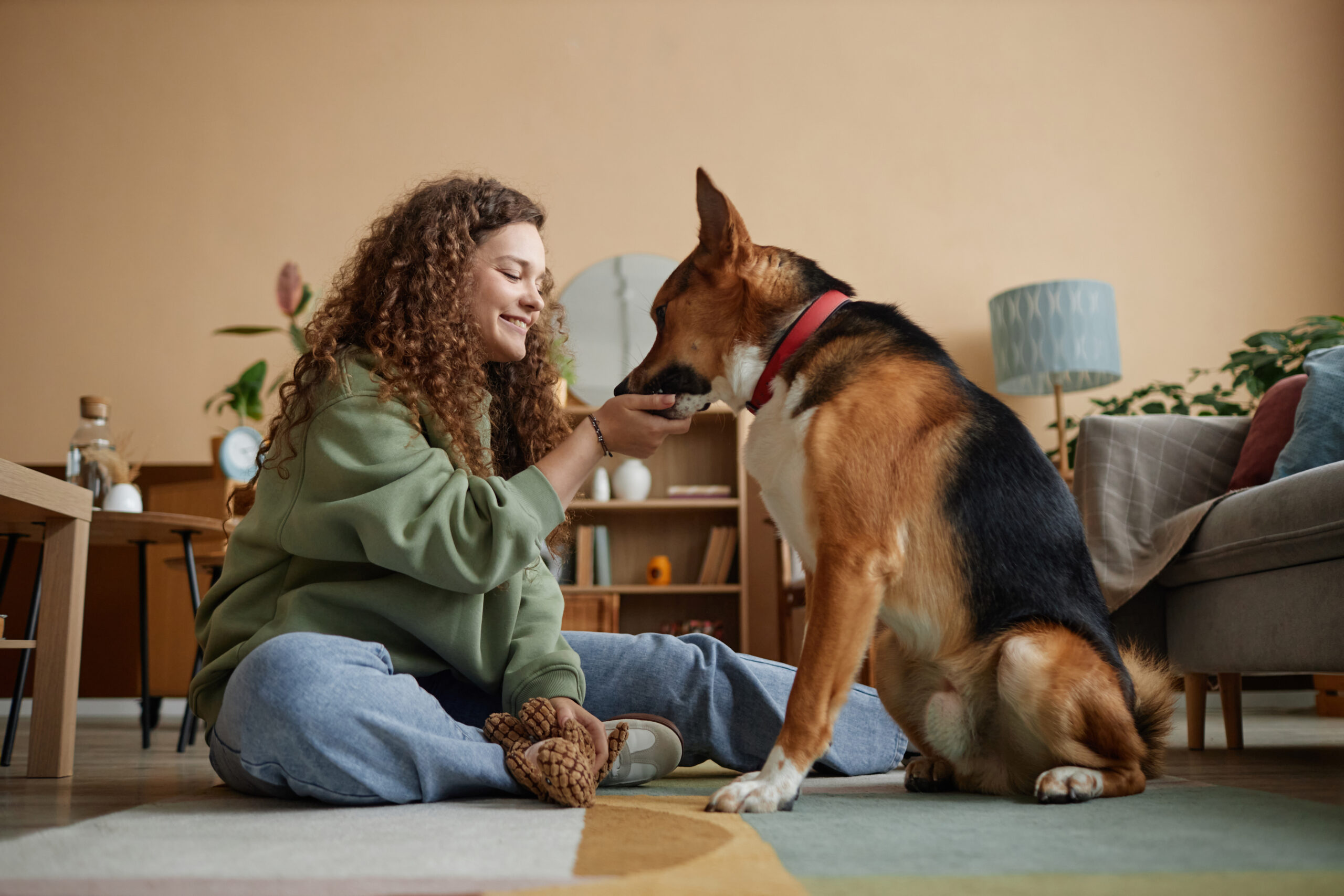 Happy Girl Giving Treats To Pet Dog in Home Together
